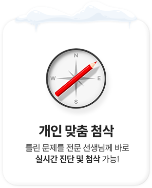 개인 맞춤 첨삭